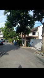 Macpherson Garden Estate (D13), Terrace #173271372